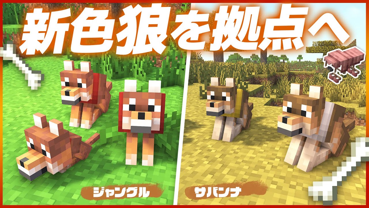 探索先バイオームから新色オオカミを拠点に連れて帰る🐺【マイクラ / マインクラフト / minecraft】110