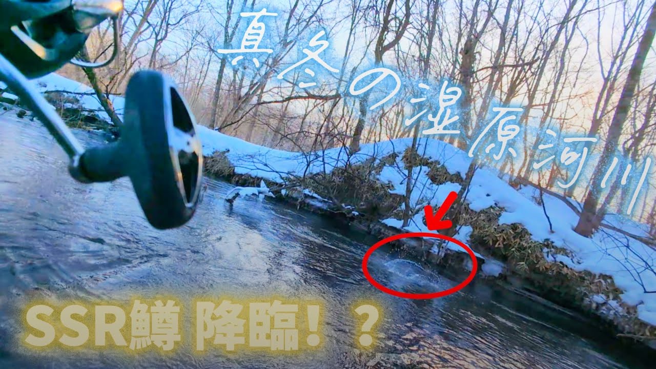 真冬の湿原河川でSSR鱒！？