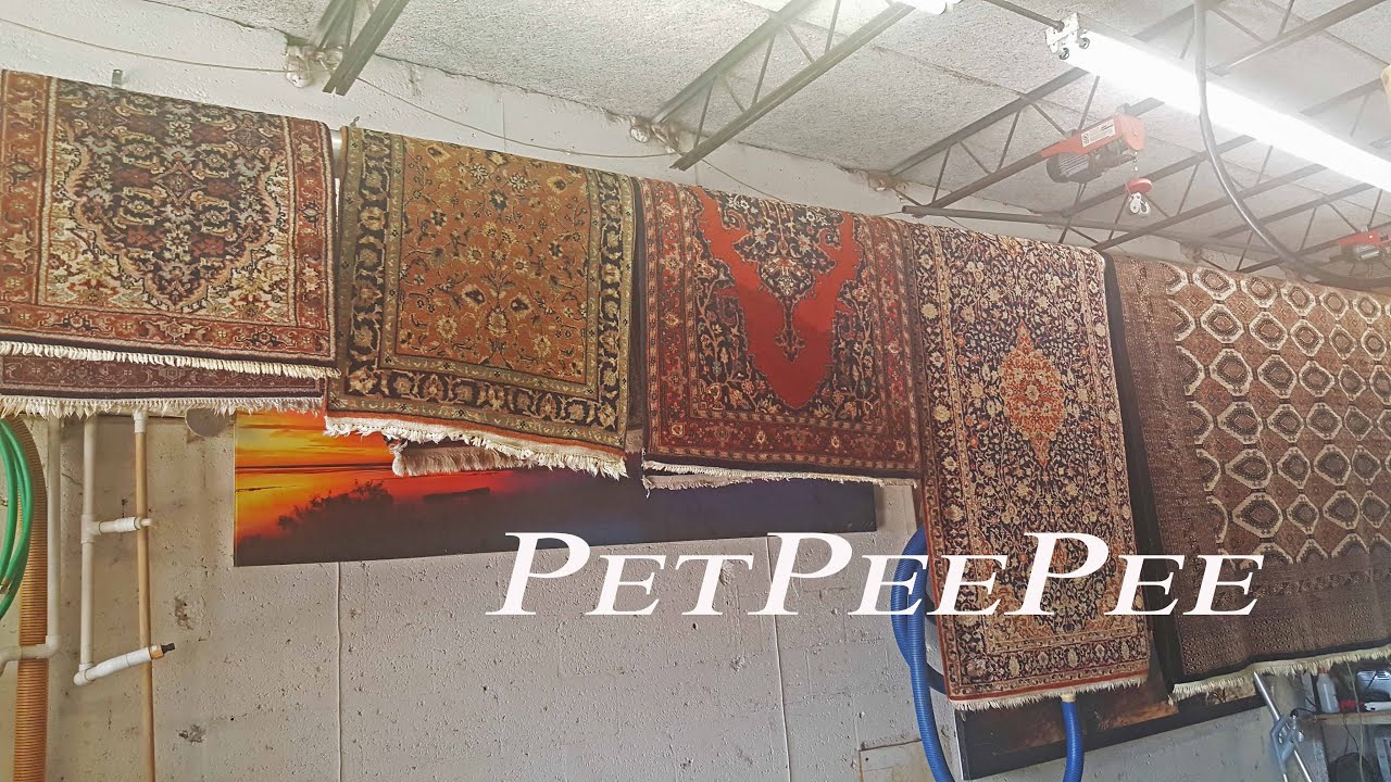 Chemical-free Area rug cleaning for dummies