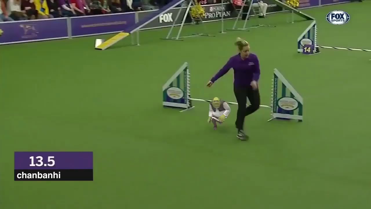 SHREK RUNS IN A DOG RACE