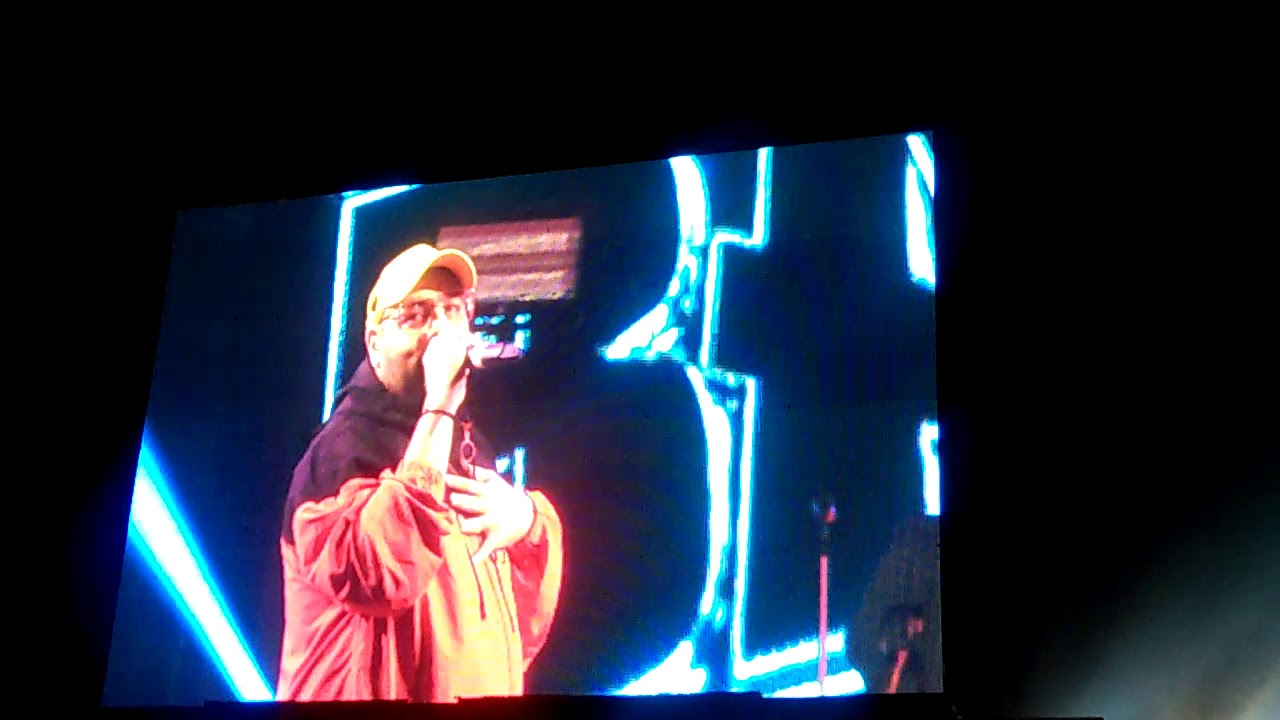 #badshah_.  Live concert at diamond harbour