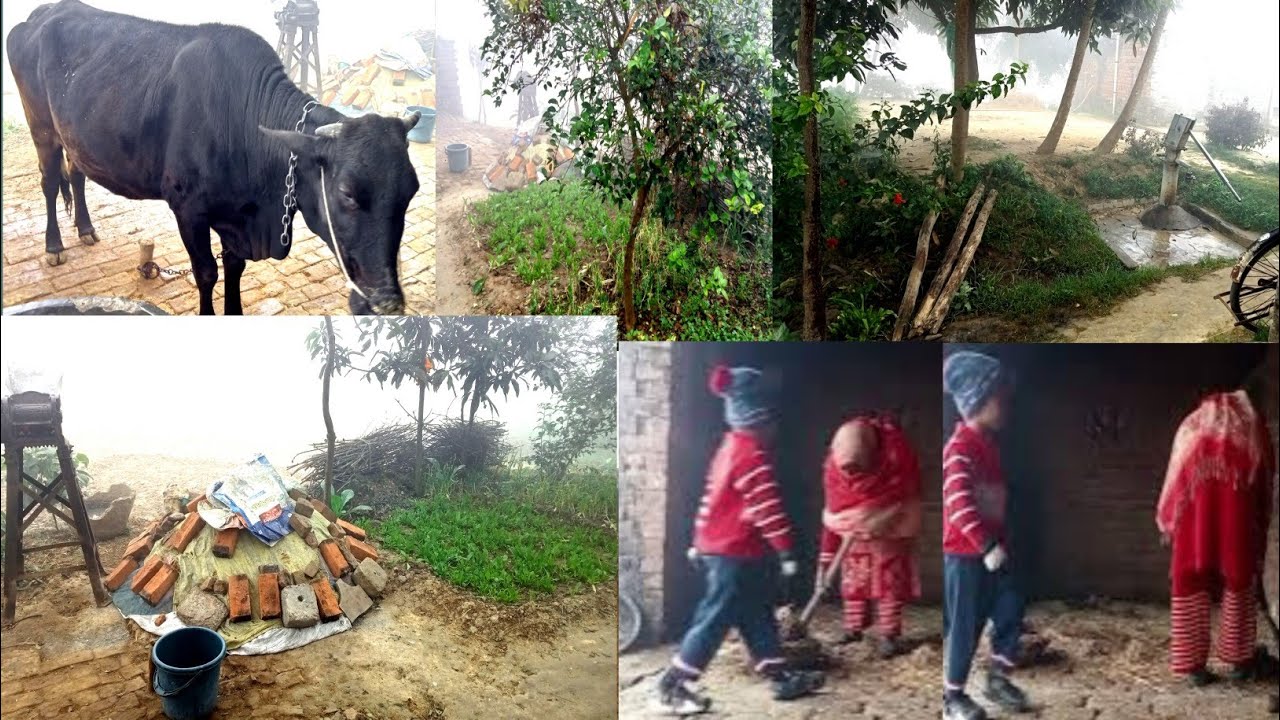 Village Women Morning Routine In Winter Fog India 🌄 Village Life India ☃️ Sejal Vlog 