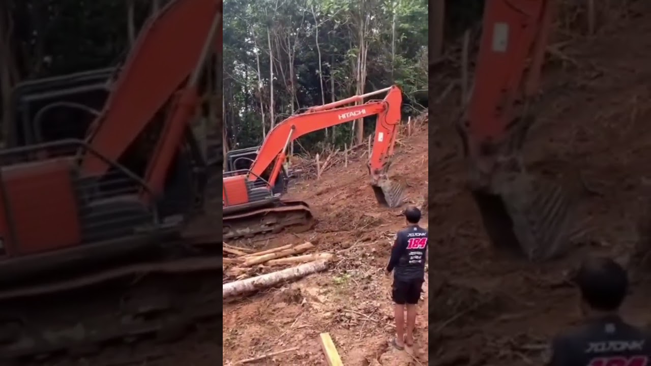 Buka lahan sawit menggunakan excavator #shorts #excavator #sawit #kebunsawit #fyp #trending