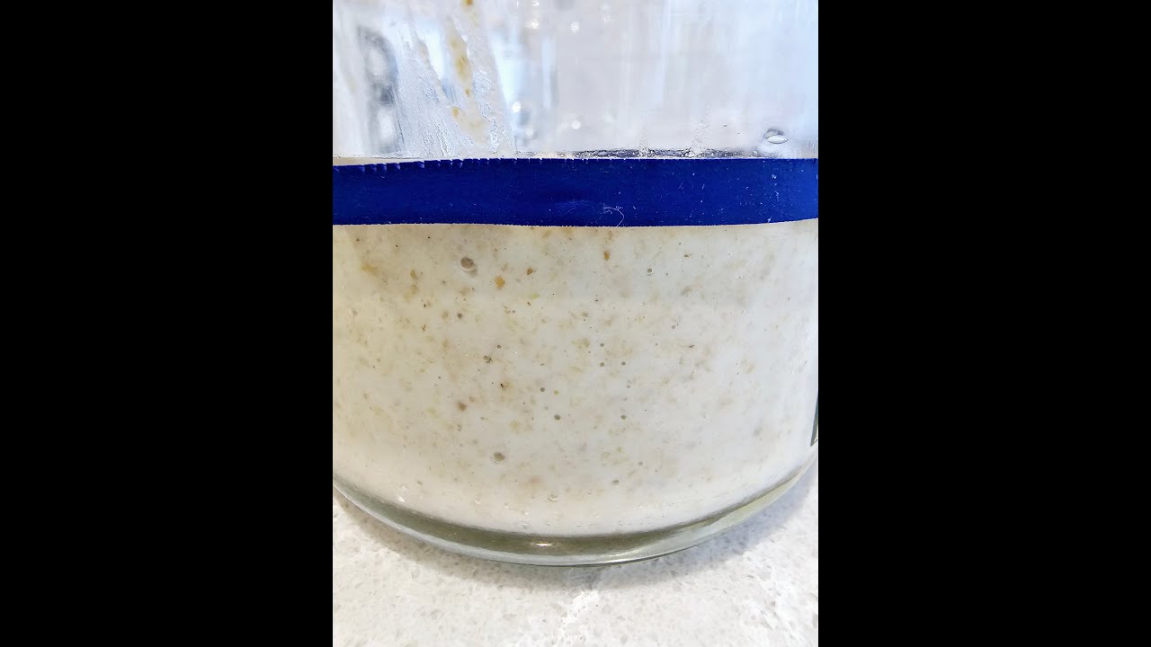 Sour Dough - Day 2