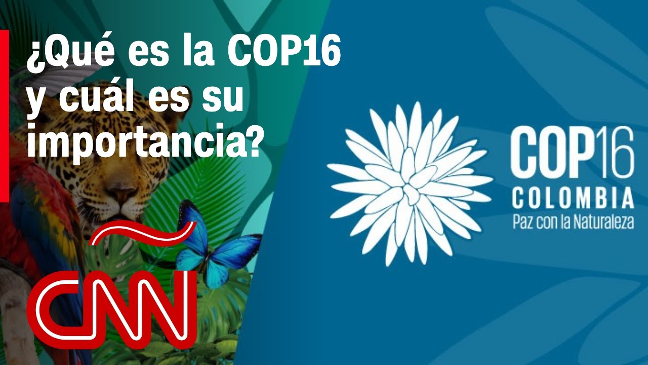 Cali, Colombia, recibe a la COP16 y se convierte en la sede de la biodiversidad