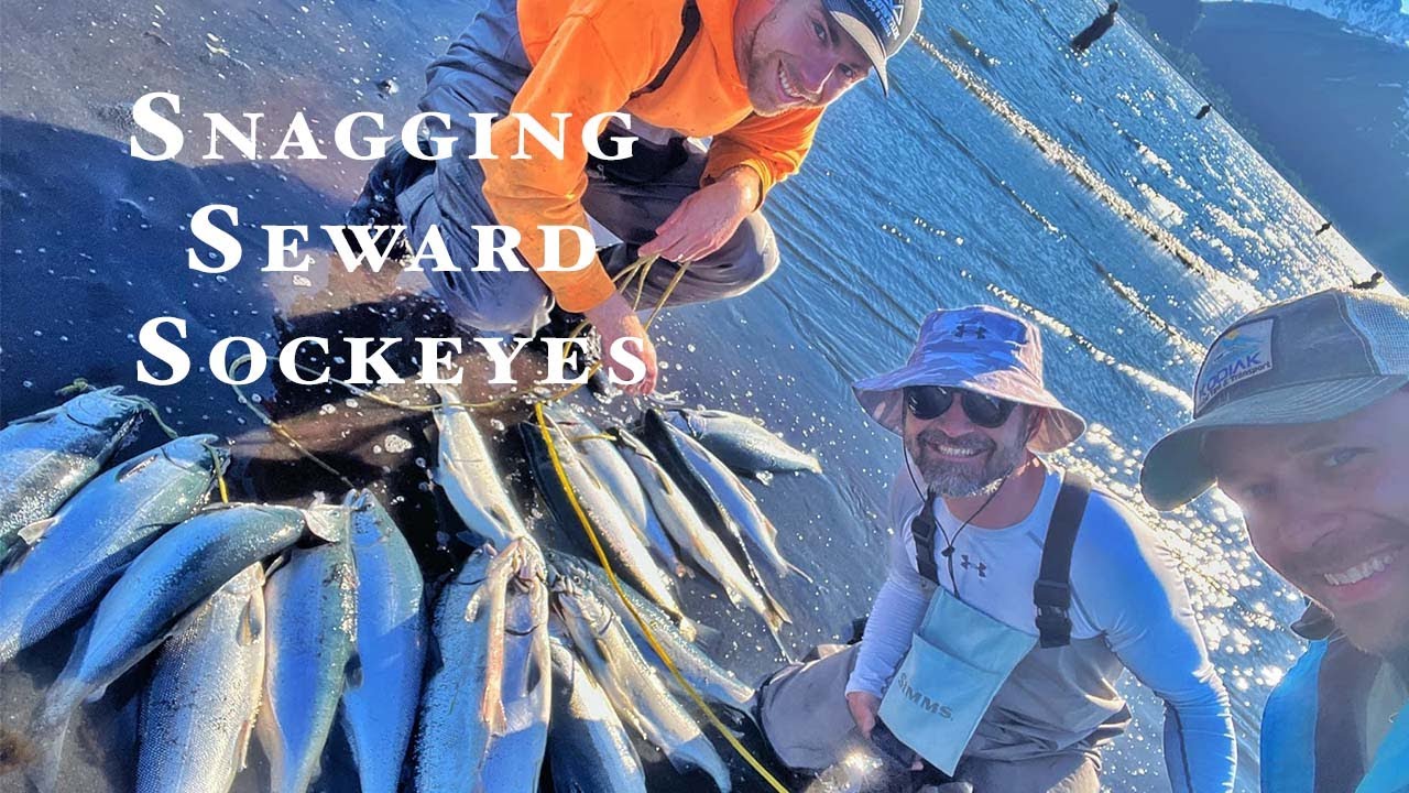 Snagging Reds, Sockeye Salmon in Seward Alaska 2022