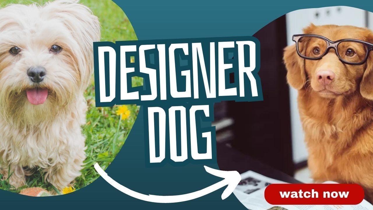 Beyond Breeds | The Magical Tale of Designer Dogs