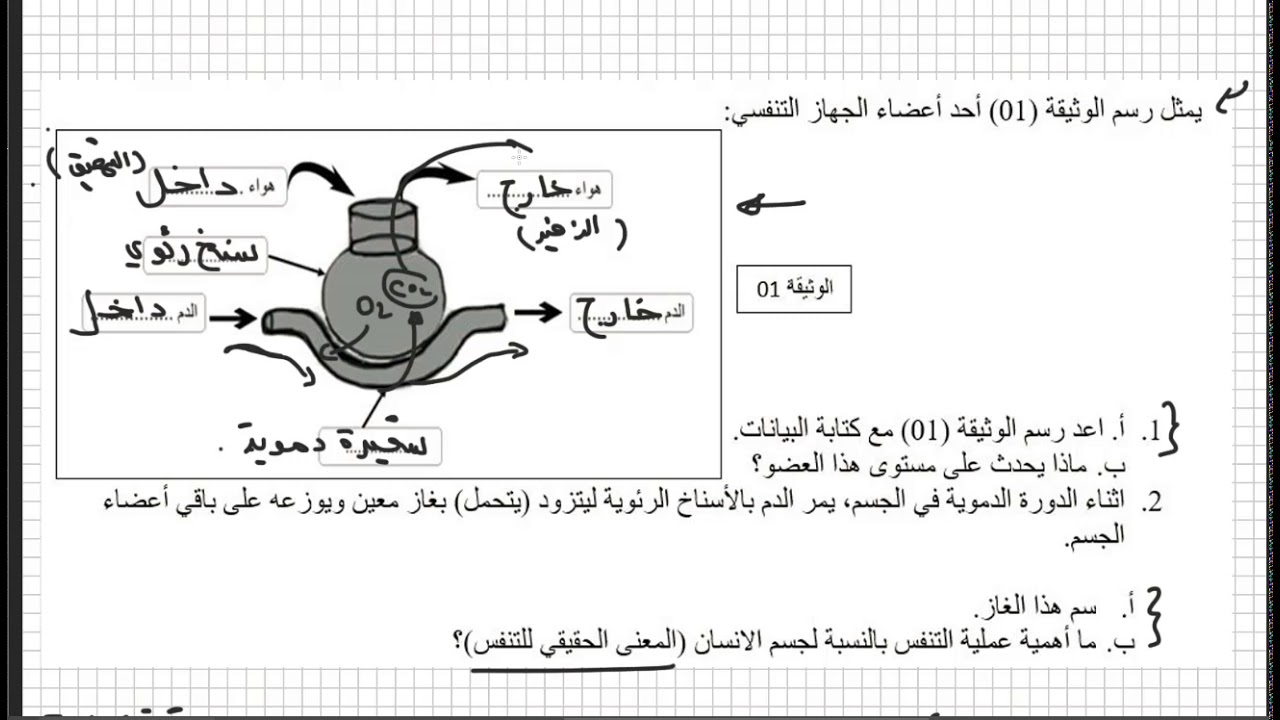 احسن تمرين على التنفس علوم طبيعية اولى متوسط