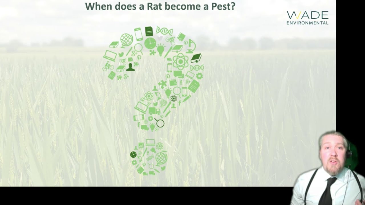 PestExtra: Diseases transmitted by rodents and their parasites