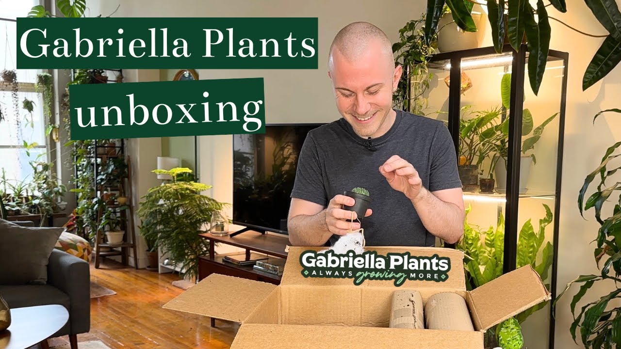 Gabriella Plants Houseplant Unboxing