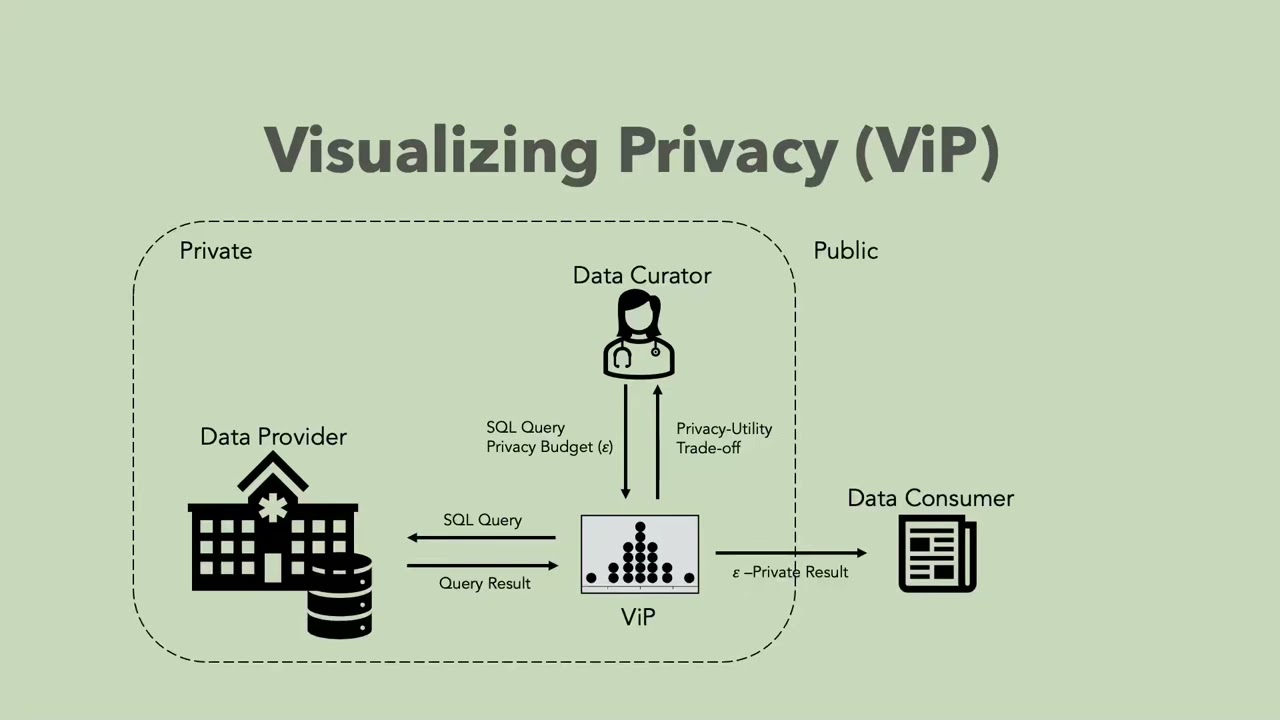 Visualizing Privacy Utility Trade Offs in Differentially Private Data Releases