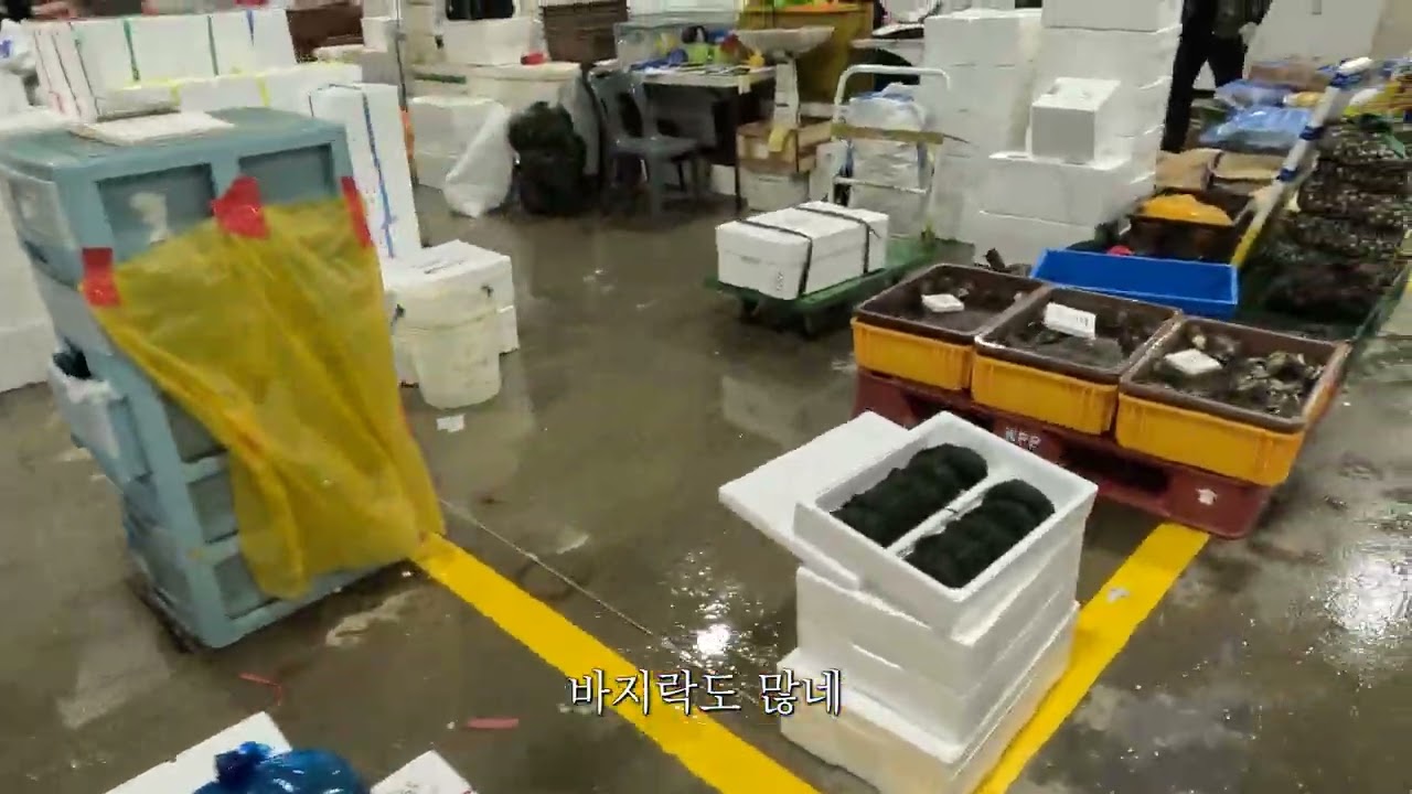 🙇‍♂️조용한 노량진 수산시장 경매장 톧아보기! 🦀대게 킹크랩 경매 구경