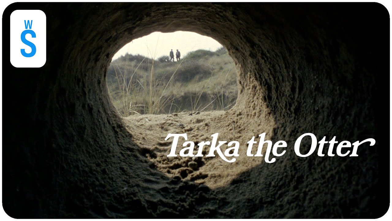 Tarka the Otter (1978) | Scene: Second year