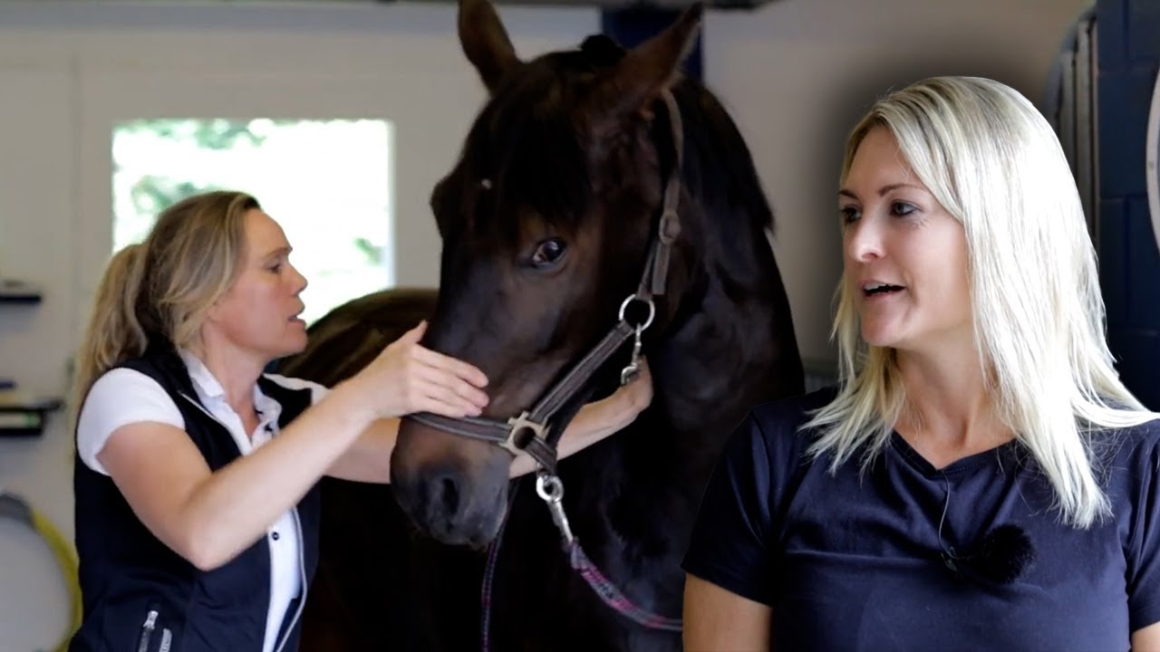 No more fun while riding - Equine physiotherapist to help