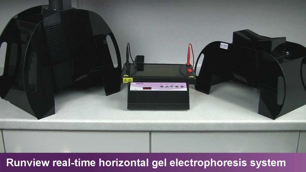 runVIEW system for DNA recovery from EtBr and SYBR stained gels
