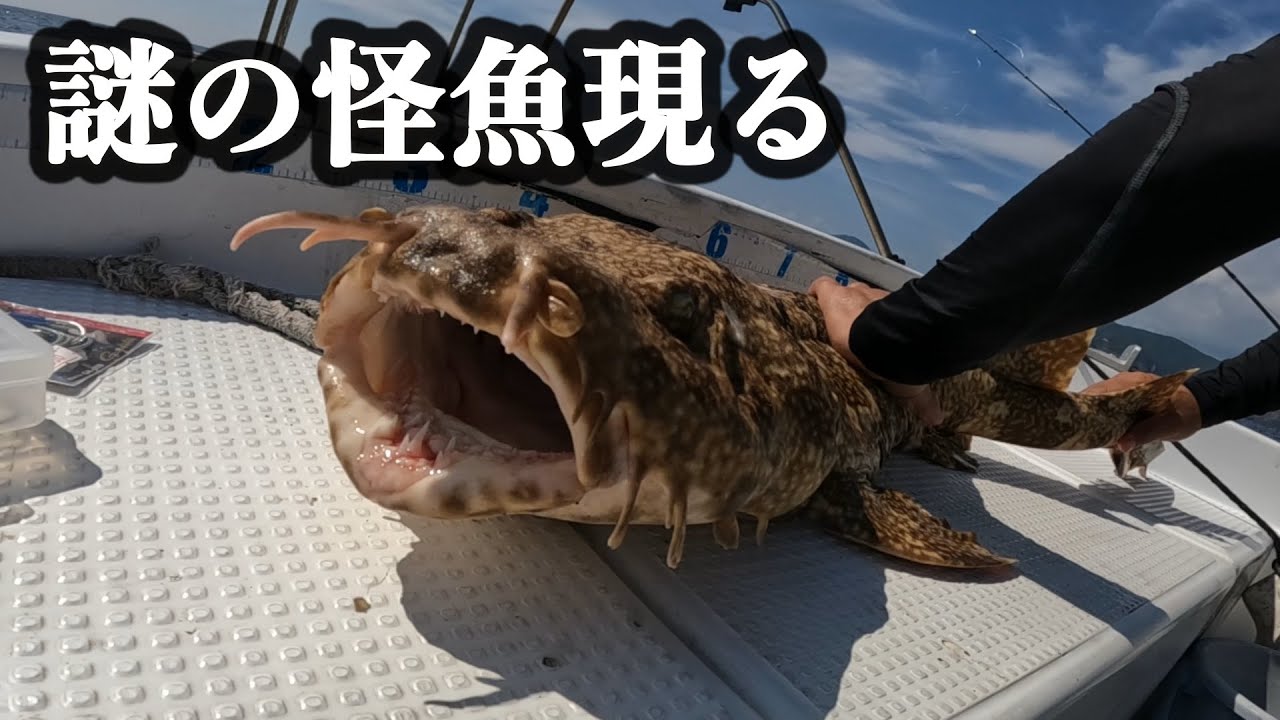 【奄美大島】スロージギングで人生初の怪魚現る！【大物釣り】