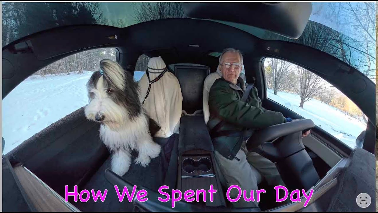 Jerry and Briggs: What We Did Today