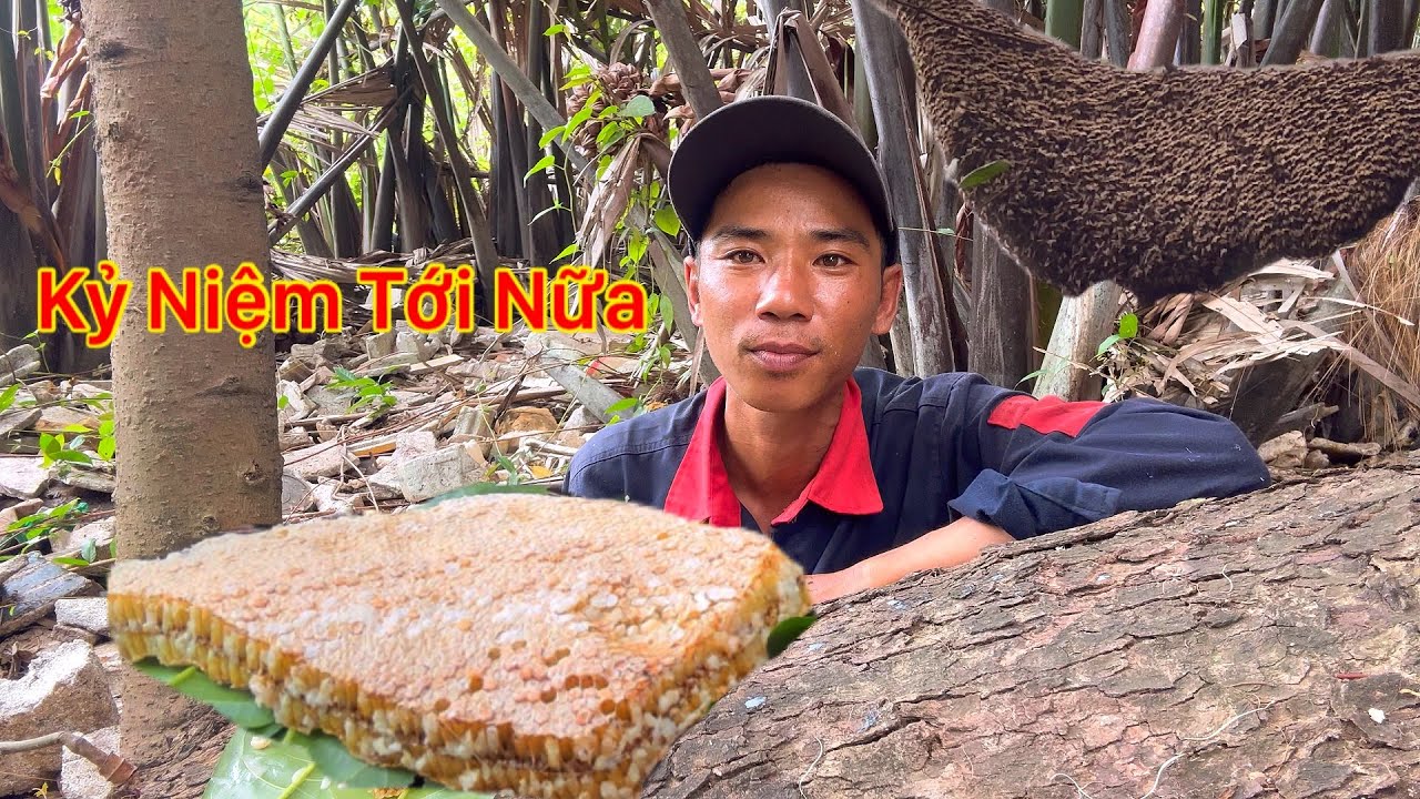 QUÁ TRỜI RỒI HÔM NAY KHÔNG TIN ĐƯỢC NHỮNG GÌ ĐANG NHÌN THẤY