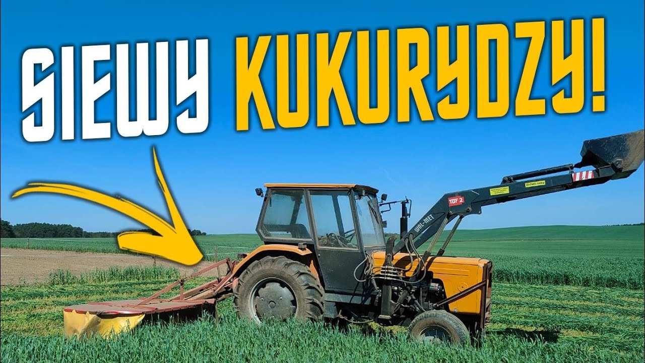 Siew Kukurydzy 4.5 Ha Kosze Żyto Na Kiszonkę Aż Żal to Kosić