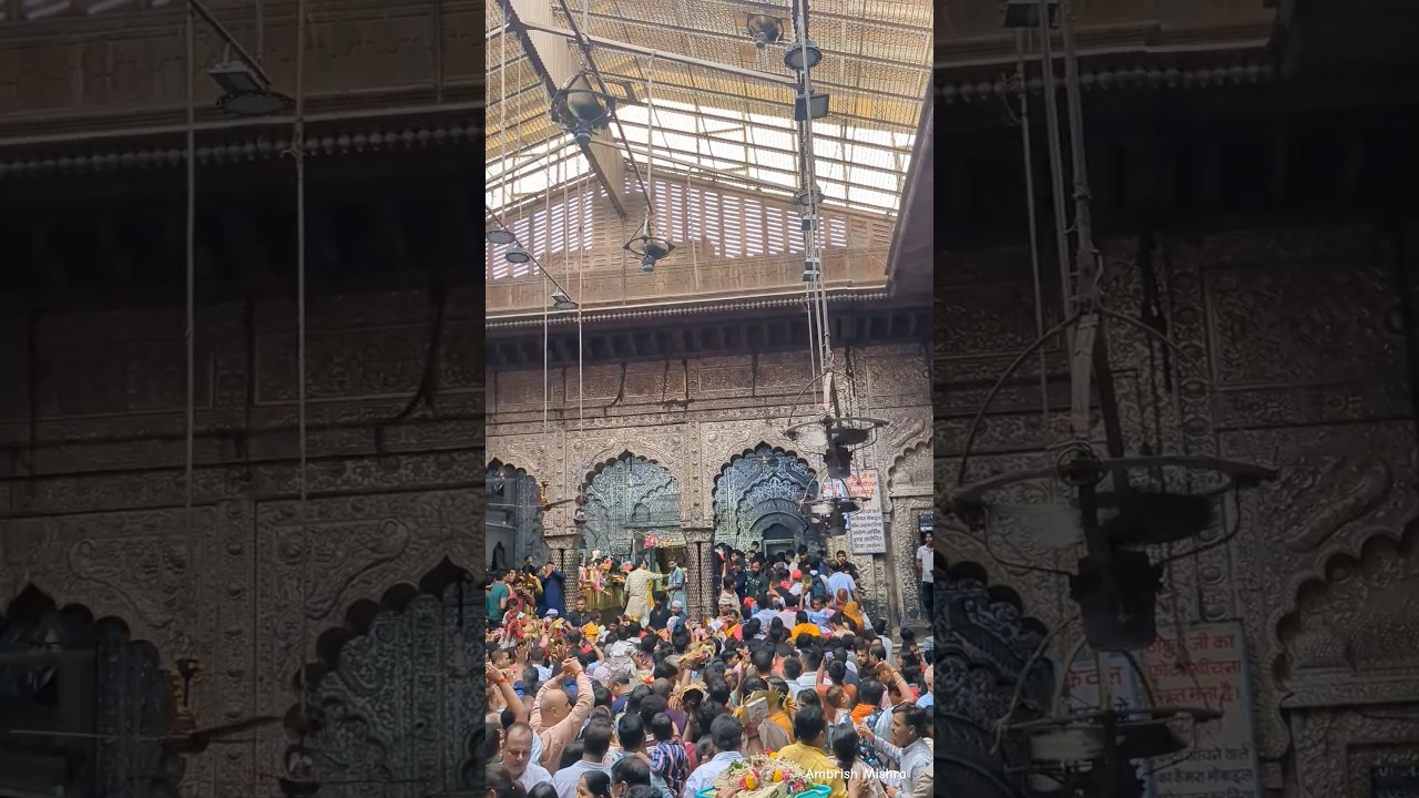 Banke Bihari Mandir Vrindavan | Vrindavan Mandir #bankebihari #mandir #vrindavan #status #shorts
