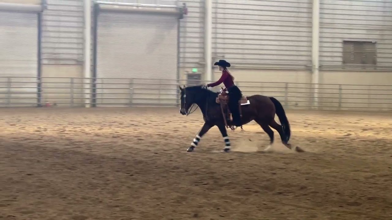 Orla wins the varsity intermediate reining at the Mile High Circuit IEA Show in 2026