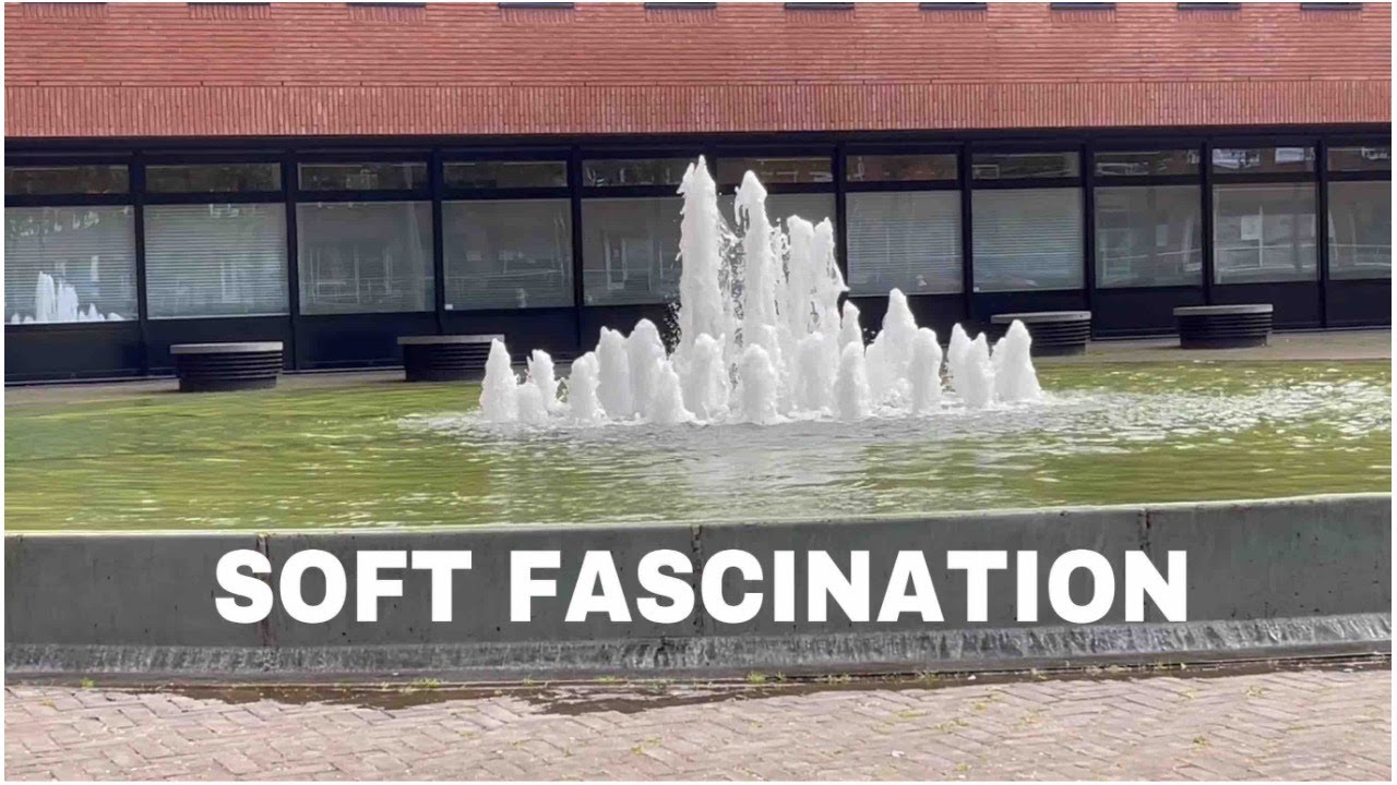 Soft Fascination