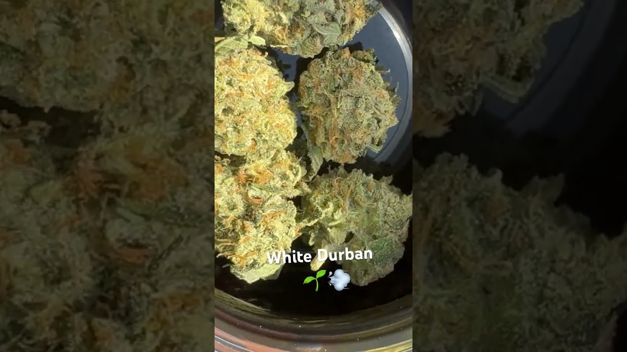White Durban #KevinReviewsWeed