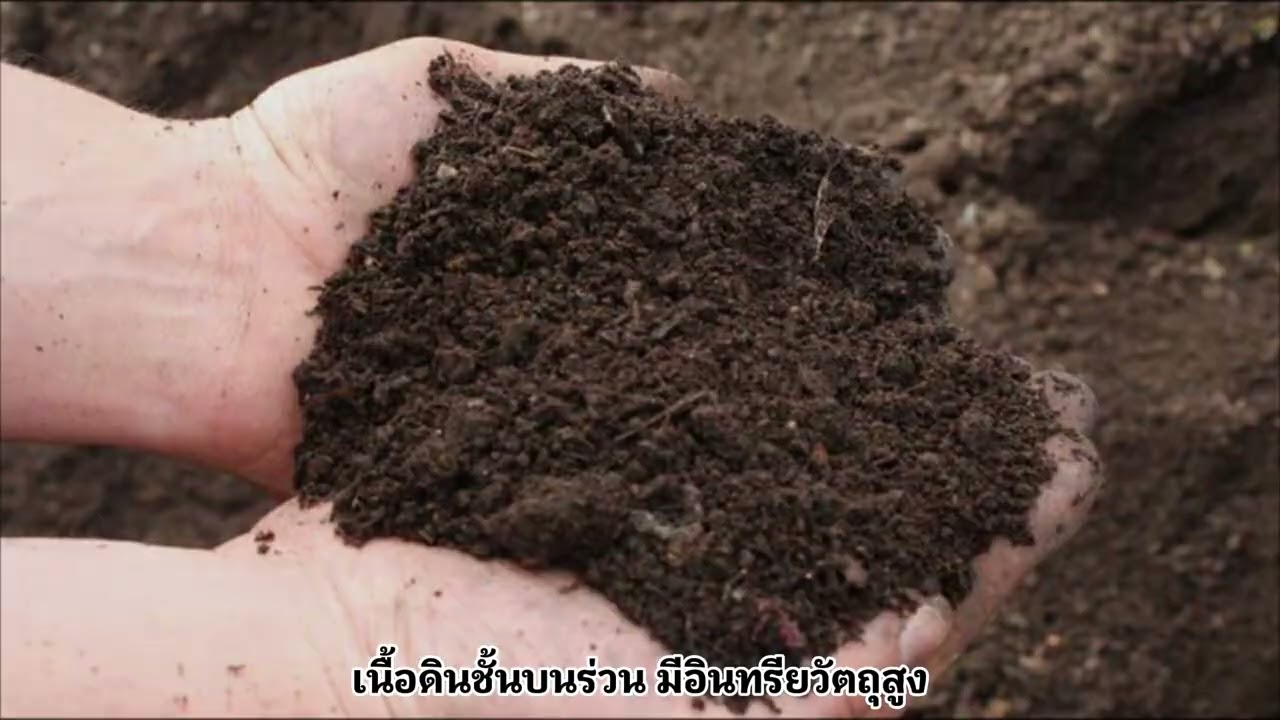 ดินทวีปอเมริกาเหนือ