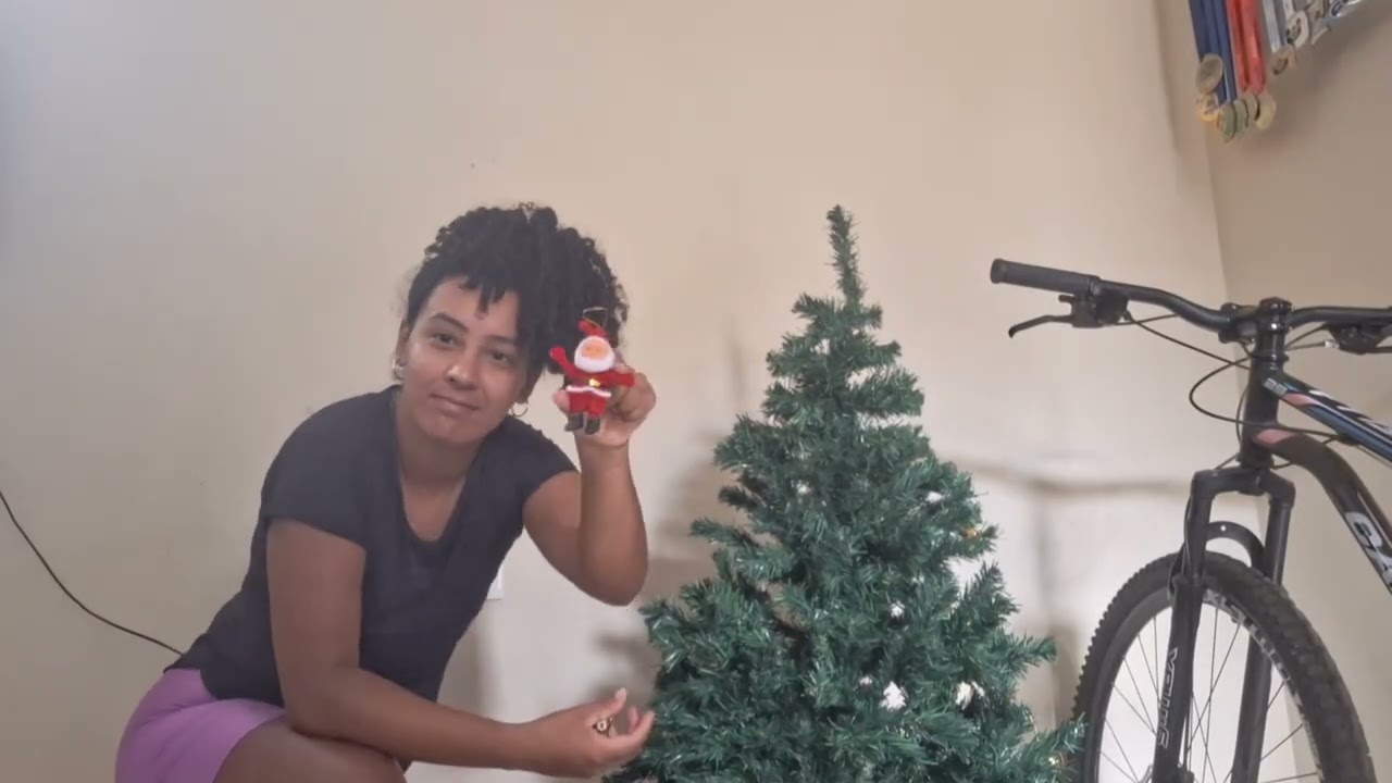Vlog desmontando nossa árvore de Natal 🥰😢❤️