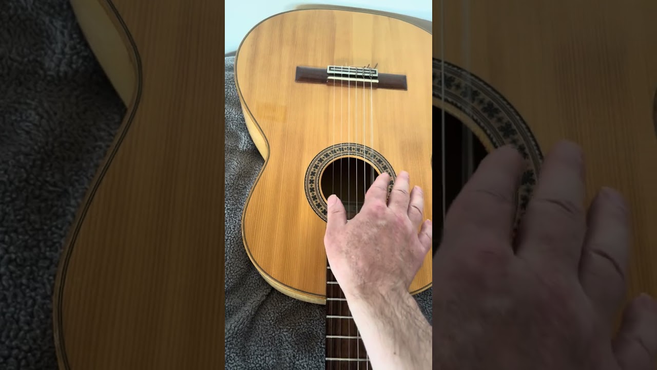 Cordoba Guitar C9 Parlour vs 2 other guitars