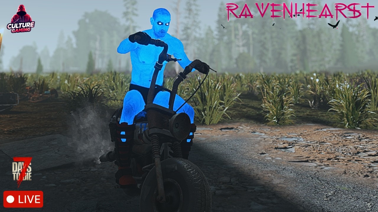 The Desert Isn’t Forgiving... I Need a New Survival Plan!