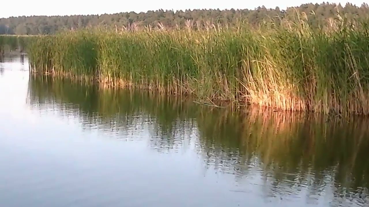 У. Цолга "Озеро"