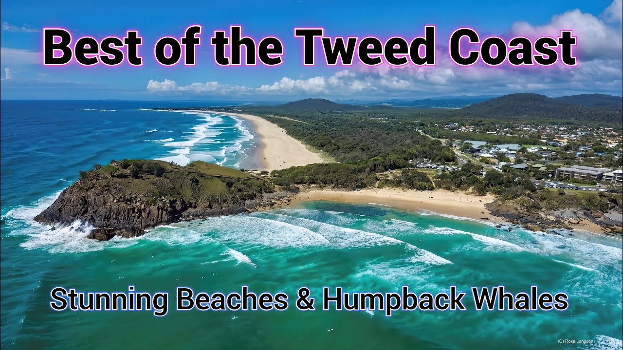 Best of the TWEED COAST - Stunning Beaches & Humpback Whales | 4K Cinematic Spectacular 