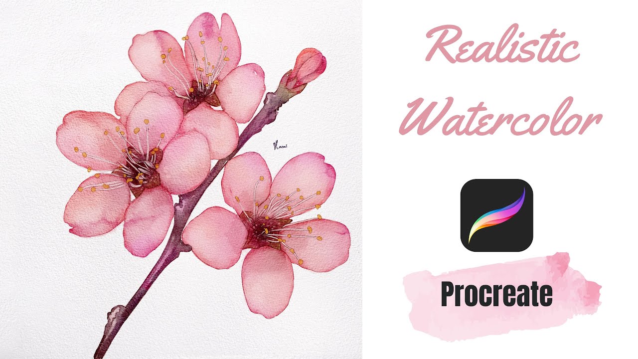 Watercolor Sakura Flower in Procreate | Digital Watercolor Tutorial
