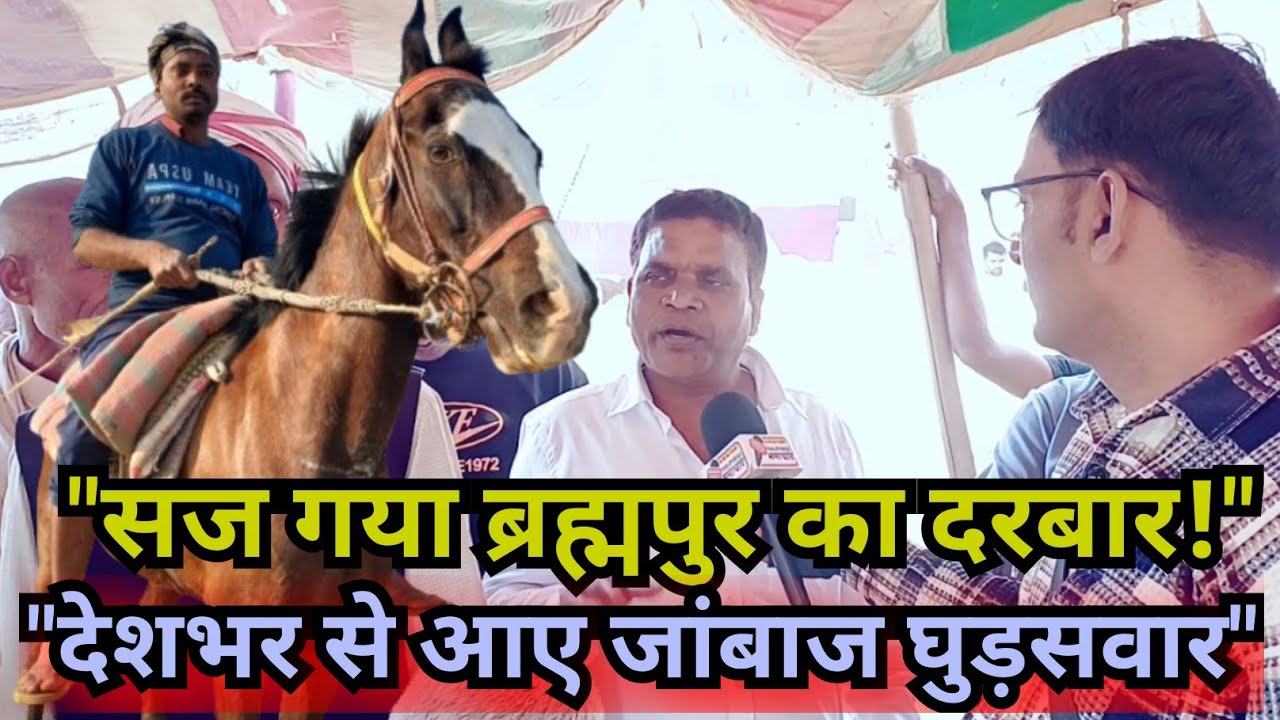 ब्रह्मपुर घोड़ा मेला: सज-धज कर तैयार हैं चेतक के वंशज, उमड़ा घुड़सवारों का सैलाब!