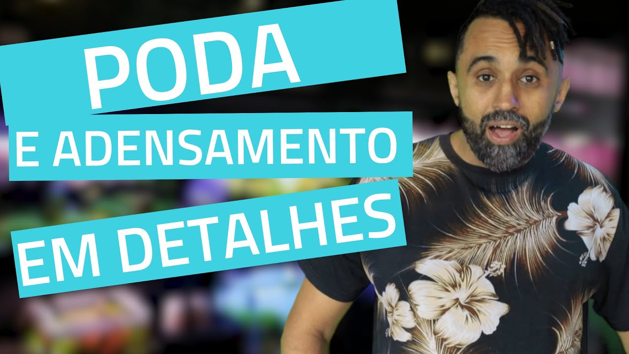 Poda e Adensamento de Plantas em Aquário | Tutorial Prático
