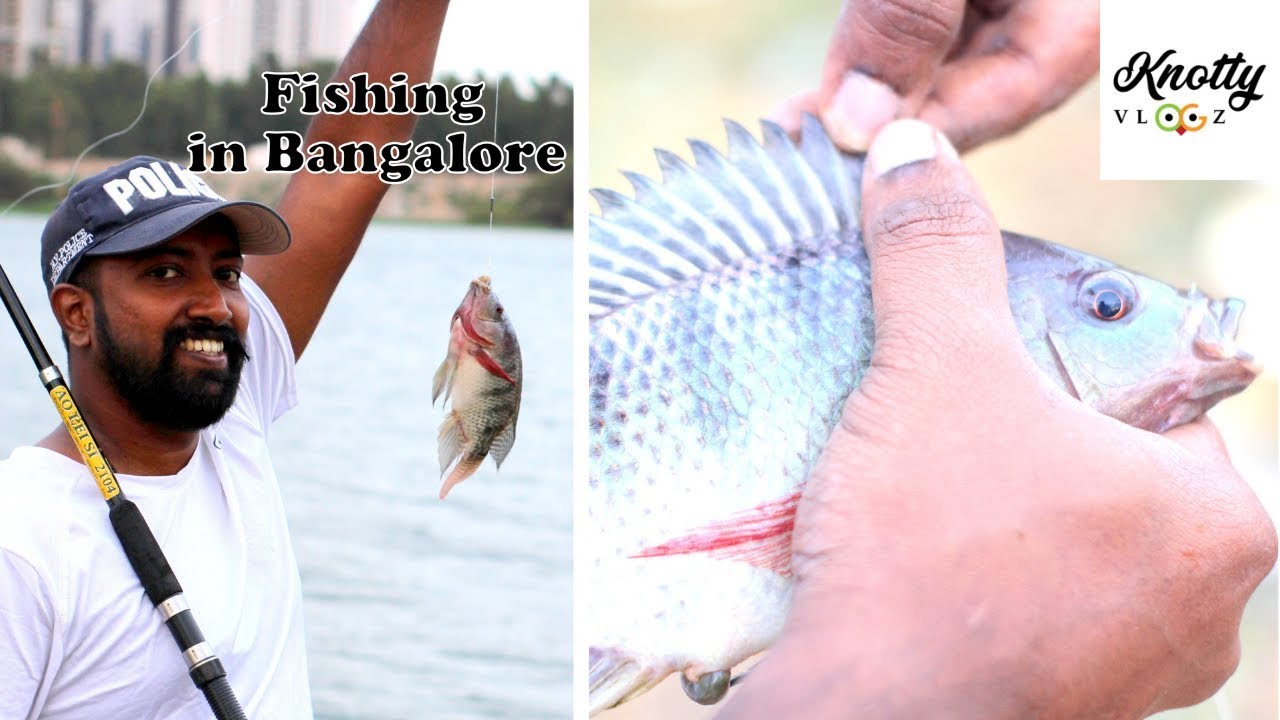 We Went Fishing In Bangalore | Thilapia Fish at Rayasandra | Outdoor Vlogging | DIML | Knotty Vlogz