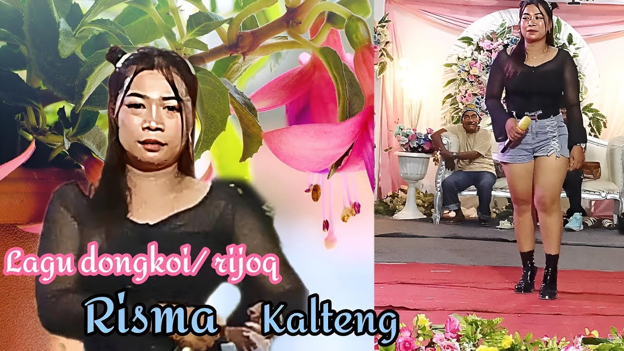 Lagu rijoq / dongkoi. Voc Risma di kamp gemuruh. 🎹🎤🎸🪕