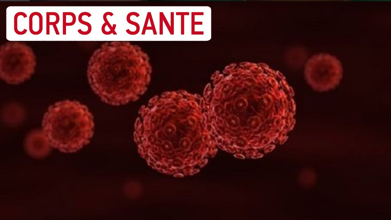L'utilité des virus - Interview du Mag de la science