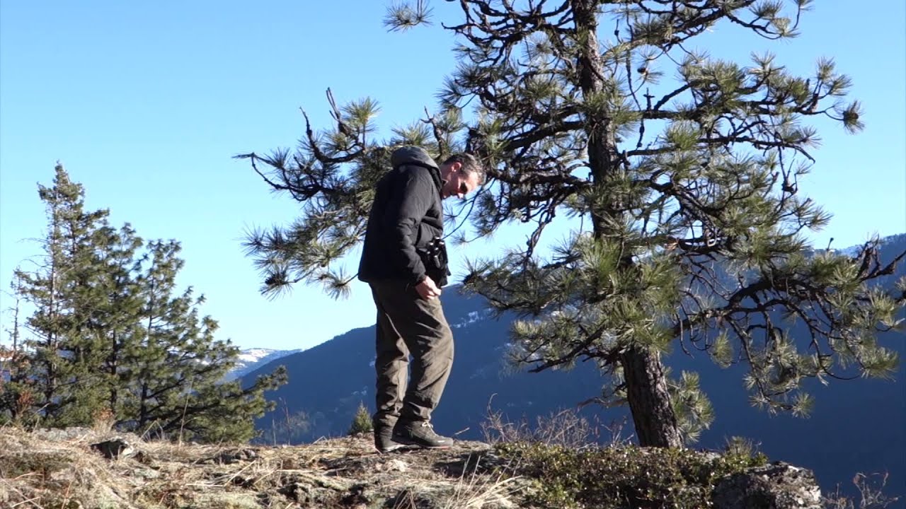 Roll-a-Chair&reg; Hiking - Camp Specialties&trade;