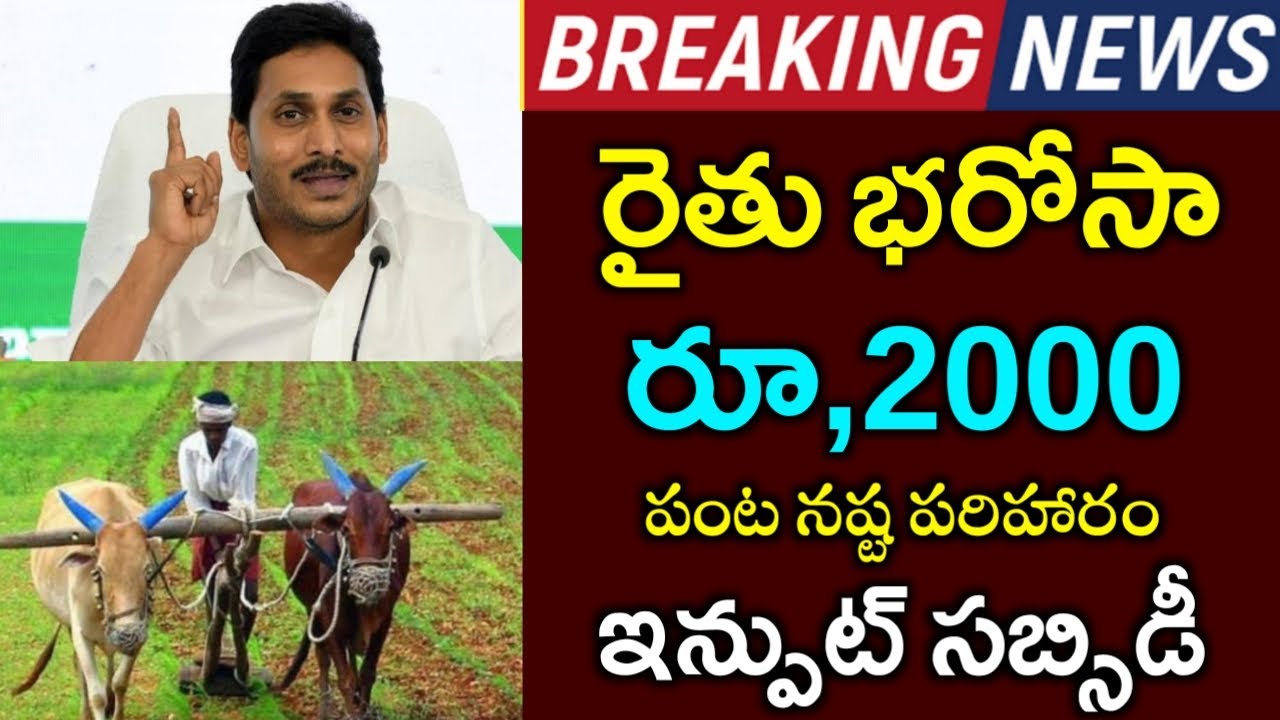 Rythu Bharosa payment release 29th december | Rythu Bharosa 2000 credit | payment status check