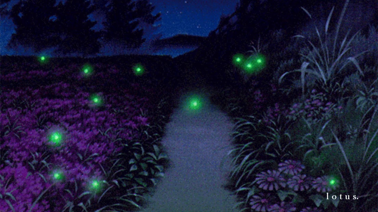 stream_error - I Was Chasing a Firefly to Light My Way Home but Then I Got Lost into the Forest