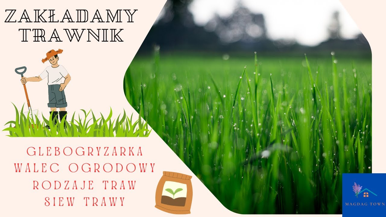 ZAKŁADAMY TRAWNIK PRZY NASZEJ STAREJ CHACIE !!! GLEBOGRYZARKA  WALEC OGRODOWY TRAWA GAZONOWA