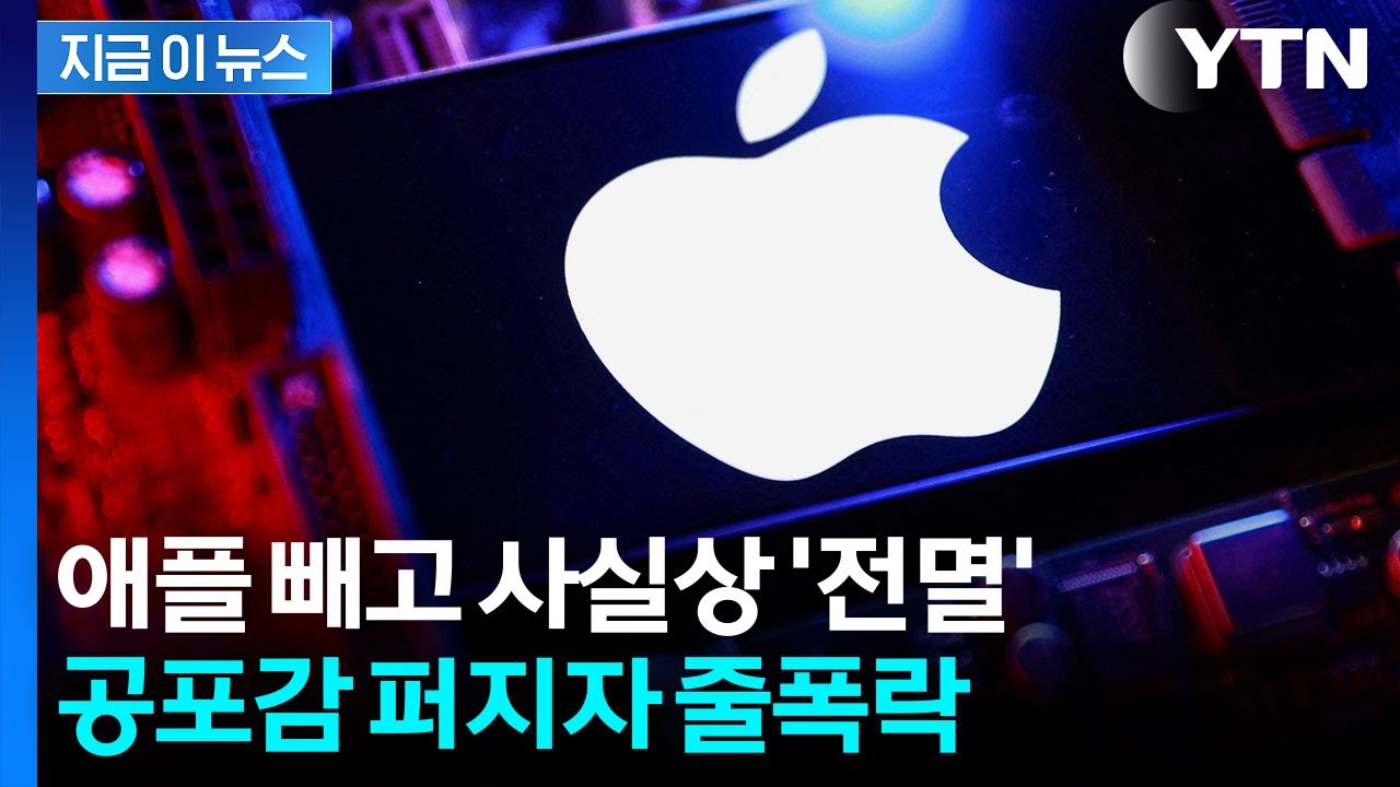 기술주 폭락에도 단단했던 '사과'...버블 공포 속 굳건한 애플 [지금이뉴스] / YTN