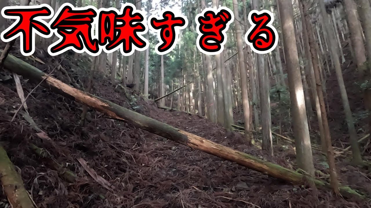 とにかく恐怖のオーラを感じた県道。もう絶対行きたくないわ…【和歌山県道181号下湯川金屋線】