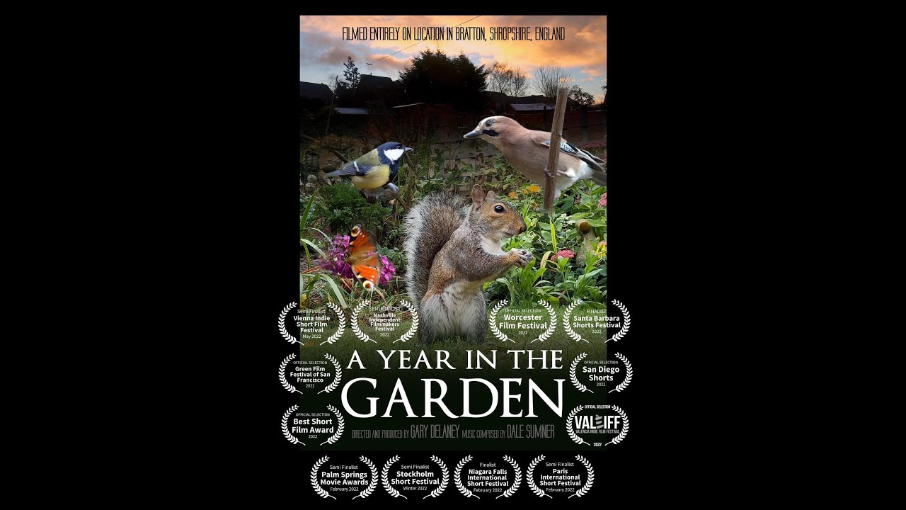 A Year in the Garden. British Birds & Wildlife. Award Winning short film.