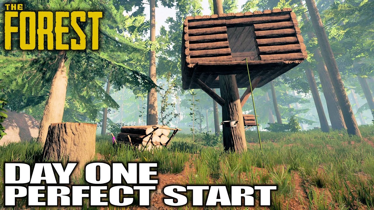 Sons of The Forest? Can’t Wait, Let’s Play The Forest | The Forest Gameplay | 01