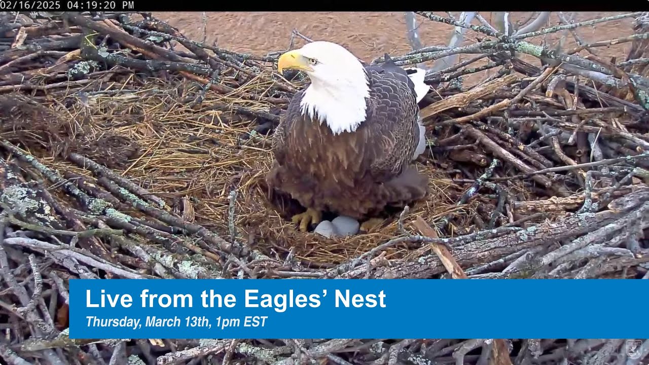 Studio Broadcast: Live! From the NCTC Eagle Nest 3/13/2025