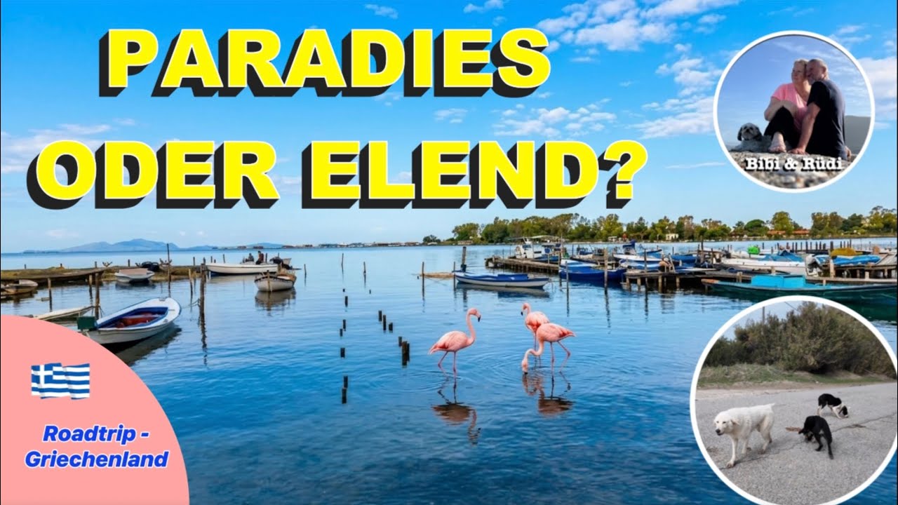 Peloponnes verlassen! Von Flamingos, hungrigen Hunden & mehr schlaflose Nächte😫