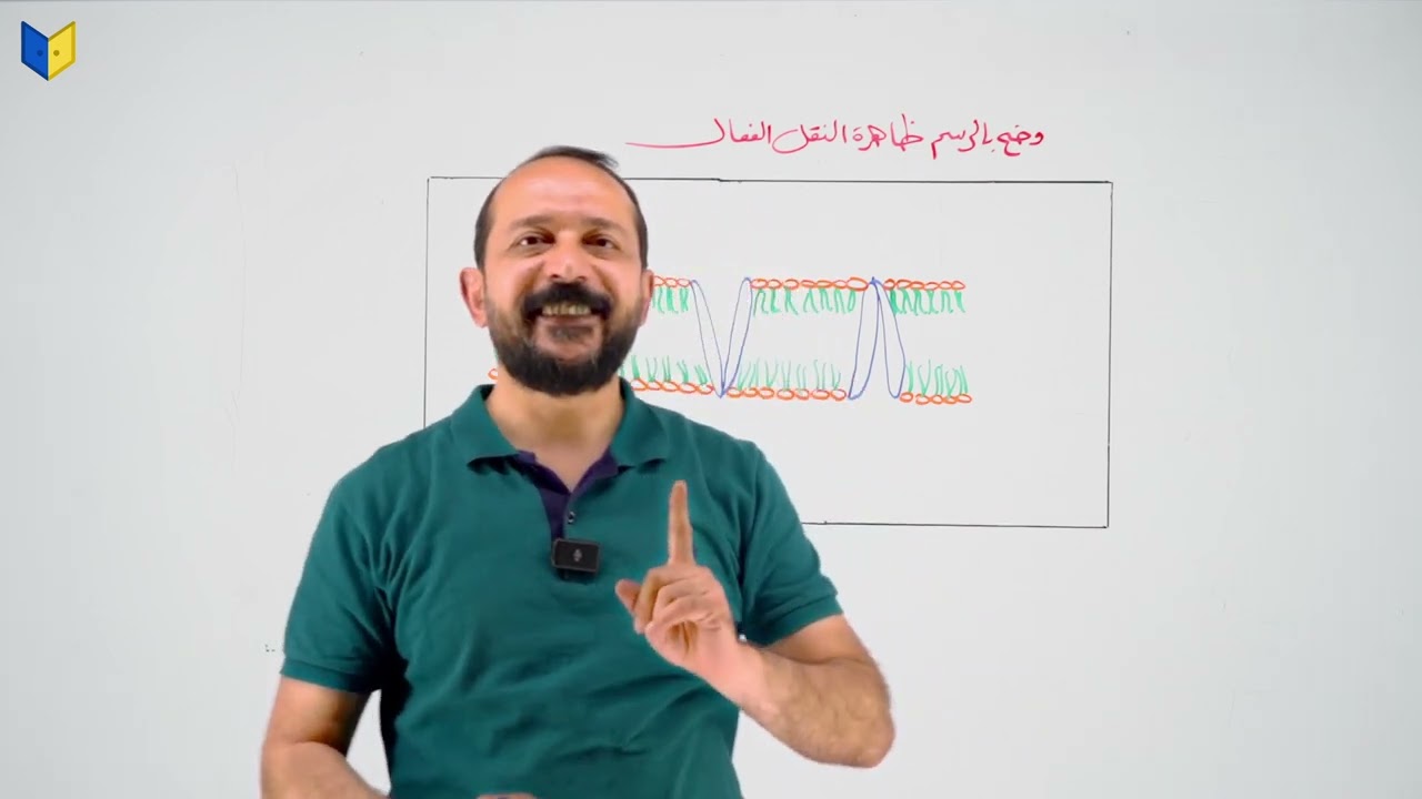 رسم ظاهرة النقل الفعال